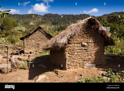 wattle and daub house.